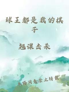 球王都是我的棋子
