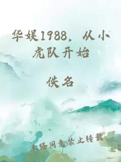 华娱1988，从小虎队开始